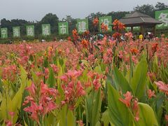 景点-那考河湿地公园