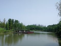 -上海长兴岛郊野公园