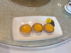 -唐阁(香港朗廷酒店)