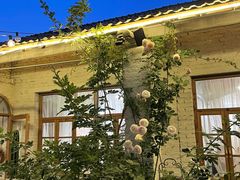 -Jo's Garden