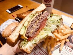圣塔芭芭拉经典牛肉特堡-The Habit Burger Grill 哈比特汉堡(爱琴海店)