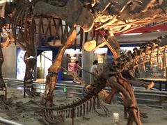 -国家自然博物馆