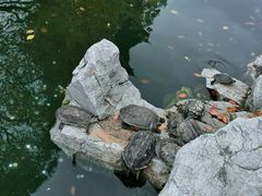 -龙华寺