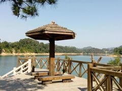 -广州市流溪河国家森林公园