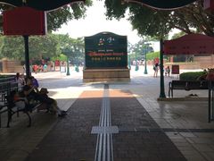 -香港迪士尼乐园度假区穿梭巴士