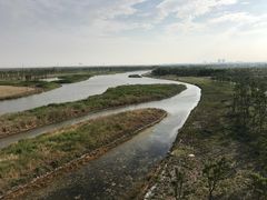 -春花秋色城市公园