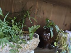 -缘来聚·徽菜名店(黄山宏村店)