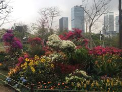 -莲花山公园