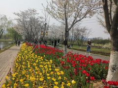 -长田漾湿地公园