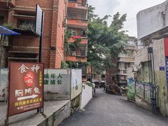 -食神又名厕所兔