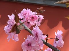 -北京植物园-展览温室