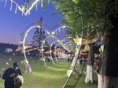 -黄海国家森林公园