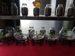 -辣尚瘾·烤鱼·新川菜(交大直营店)