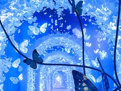 -深圳龙华星河COCO City(民治店)