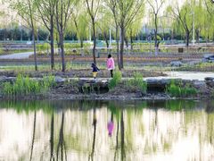 -大兴滨河森林公园