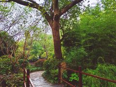 -西溪国家湿地公园