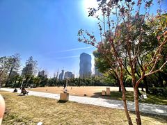 -新虹桥中心花园