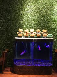 -花开映像儿童摄影