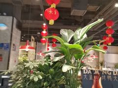 -小大董·烤鸭(五棵松店)