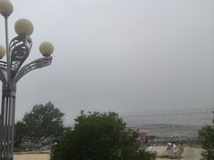 -宝安西湾红树林湿地公园