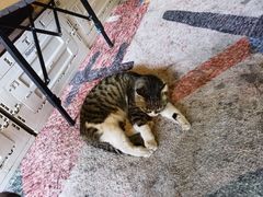 -中国中医科学院西苑医院(本部)