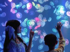 -海合安成都极地海洋公园