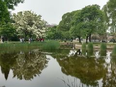 -泰丰公园