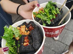 -黑色经典臭豆腐·湖南特产(步行街店)