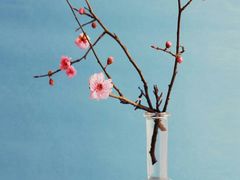 -捞鱼儿·酸菜小鱼(双塔西街店)
