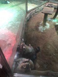 点击看大图 -宝燕乐园(闵行旗舰店)