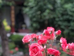 -李叔同故居纪念馆