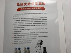 -诺比宠物医院心脏内科·泌尿肾内外科·骨科急重症