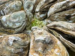原味焗生蚝-蠔爺王志德生蚝馆(金沙湾店)