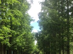 -广富林郊野公园