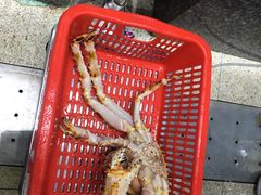 -蚝专家(北滘店)