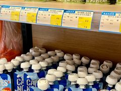 -糯米喵星人总部直营旗舰店·猫舍·幼猫出售