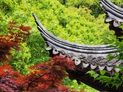 -苏州上方山国家森林公园