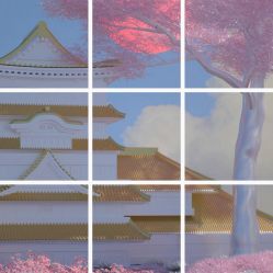 -凡碧诗毛孔收细