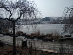 -小绿谷公园