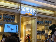 -屋虎猫馆(宝安大仟里店)