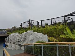 -武汉动物园