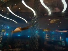 -瑞德姆美人鱼海底演艺主题餐厅(亚龙湾店)