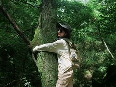 -陕西省红河谷森林公园
