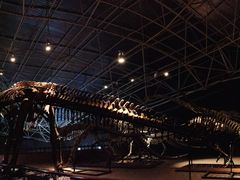 -世界恐龙谷景区