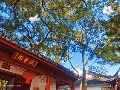 -秋霞圃