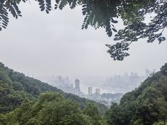 -巴倒烫陆派火锅山庄(南山总店)