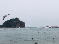 -棒棰岛宾馆景区