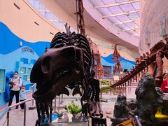 -陕西自然博物馆