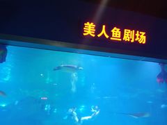 -福州罗源湾海洋世界旅游区