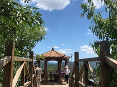 -大岭沟猕猴桃谷风景区